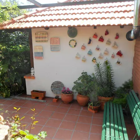 Casa Da Avó - Vale da Silva Villas Albergaria-a-Velha Exterior foto