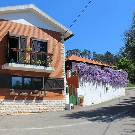 Casa Da Avó - Vale da Silva Villas Albergaria-a-Velha Exterior foto